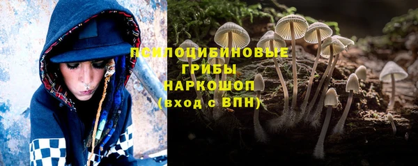 первитин Козельск