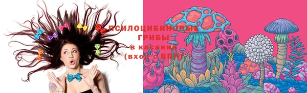 первитин Козельск