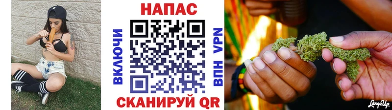 Канабис ГИДРОПОН  Купить  Гай 
